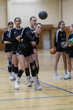 Bild 163 - wBJ TSV Ellerau - HSG Stoertal Hummeln : Ergebnis: 26:19
